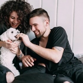 North District Lofts Pet-Friendly at North District Lofts